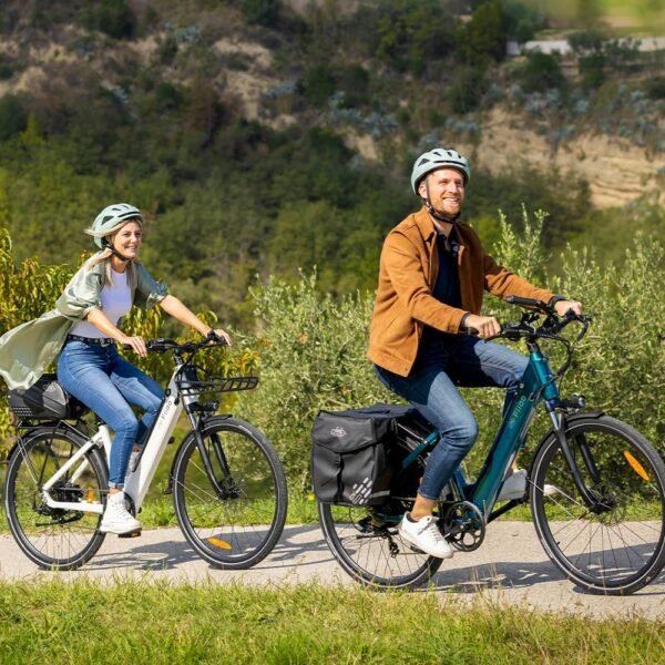 Fiido C11 Leichtes Urban E-Bike - Image 5