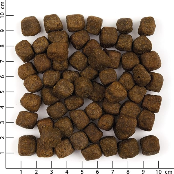 Wolfsblut - Wild Duck Adult - 15 kg - Ente - Trockenfutter - Hundefutter - Getreidefrei - Image 2